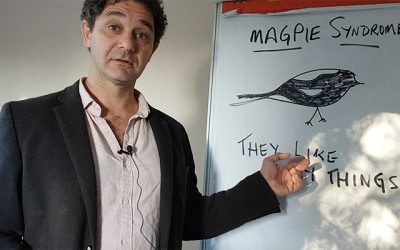 Watch out for Magpie Syndrome – stay focused on your plan