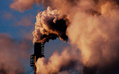 Your business responsibility – Carbons